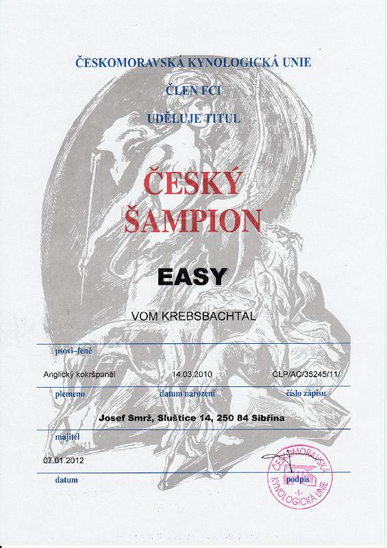 09 - Easy diplom sampion.jpg